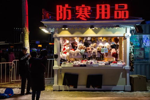 哈爾濱冰雪大世界商服慢搖吧經營權拍賣公告深度解讀